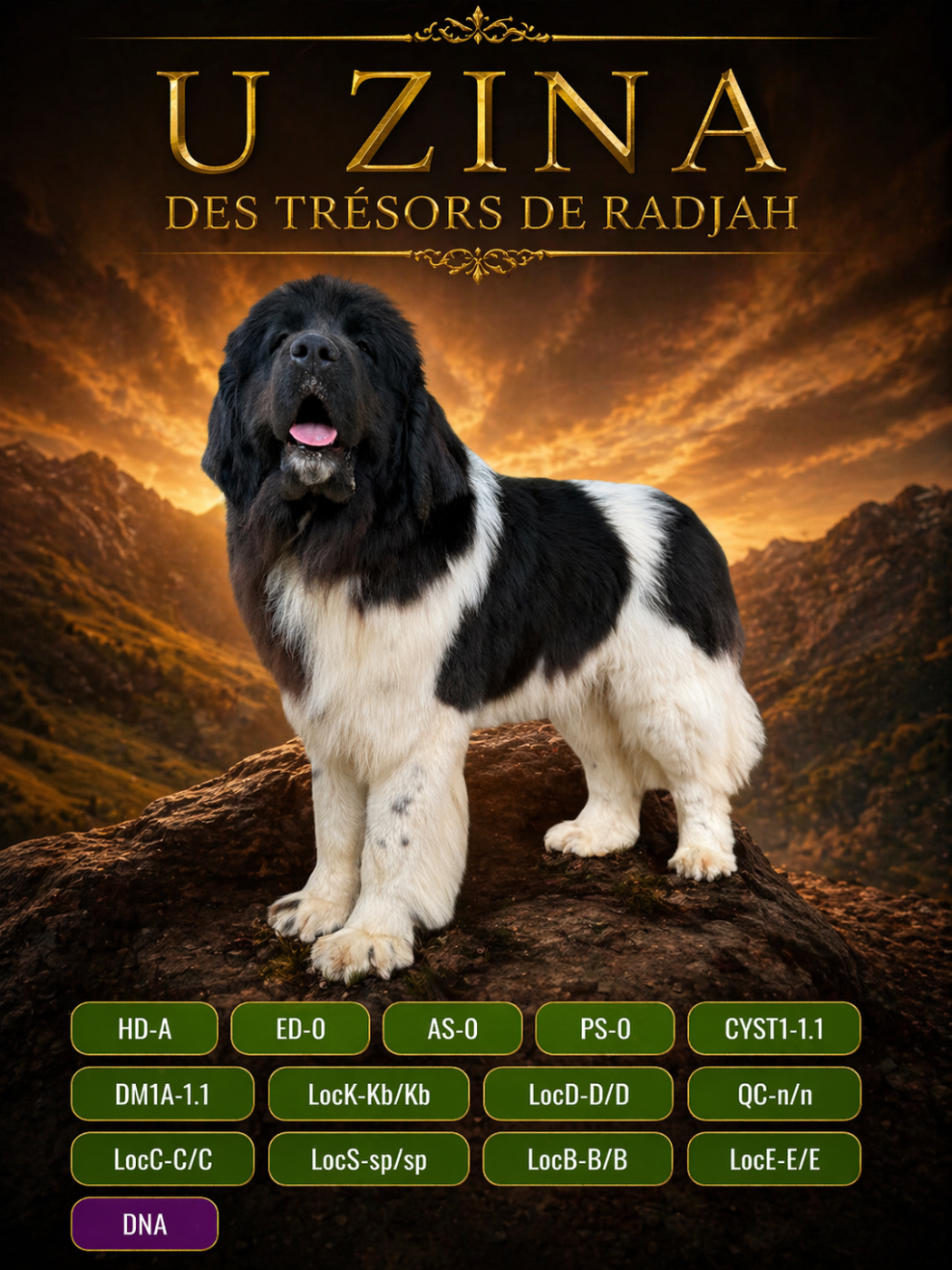 Uzina des Trésors de Radjah
